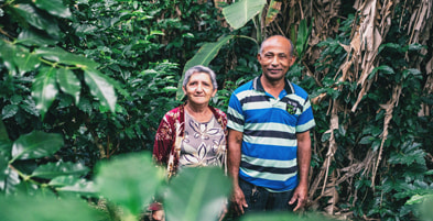 Fazenda Baixa Dantas