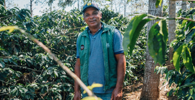 Fazenda Brejo