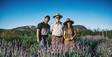 Fazenda Muçambé