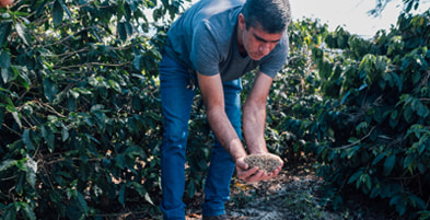 Fazenda Santo Antônio